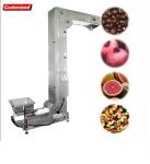 Customized Stainless Steel Automatic Palm Fruit Conveyor for Packing Line