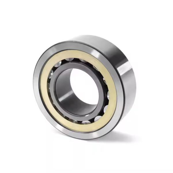NJ317ECM Cylindrical Roller Bearings NJ317E M1 NJ317EM NJ317M