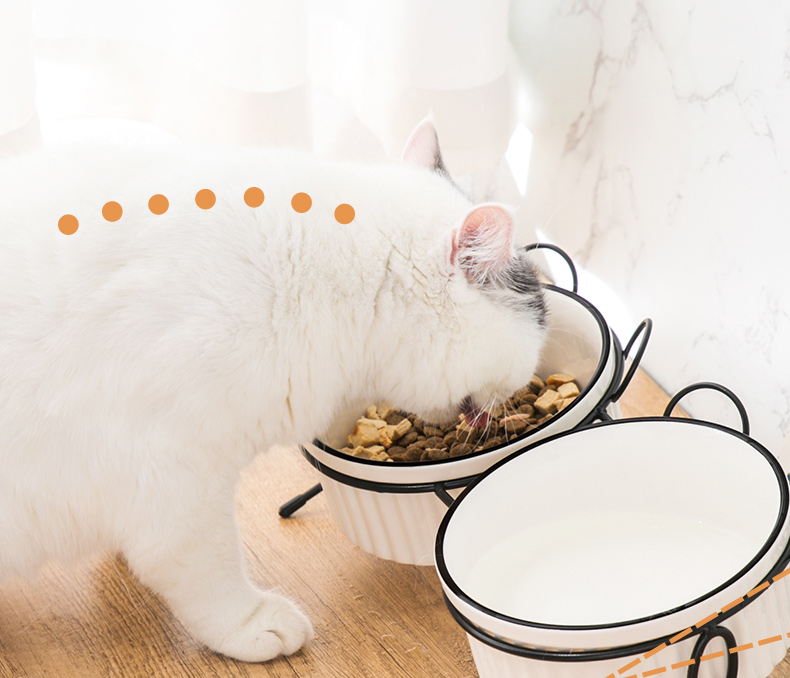 Custom Ceramic Custom Pet Bowls Feeders Rounded Shape With Shelf
