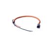 Buy cheap Automotive Trailer / Tractor Wiring Harness Anticorrosive Waterproof from wholesalers
