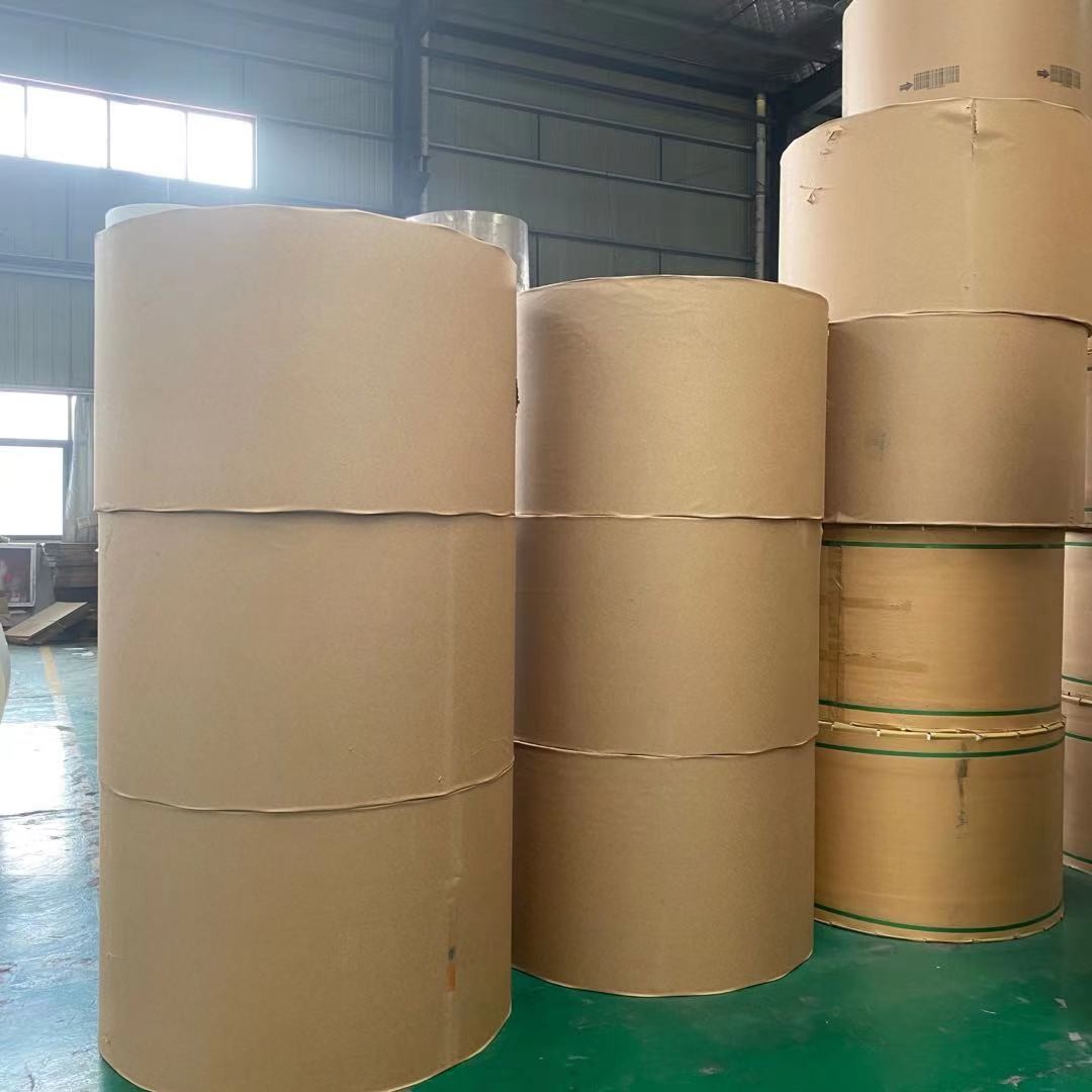135gsm - 340gsm PE Coated Paper Roll Waterproof For Paper Cup