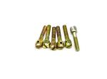 Stainless Steel Silver Electric Meter Anti-Tamper Installation Screws Good