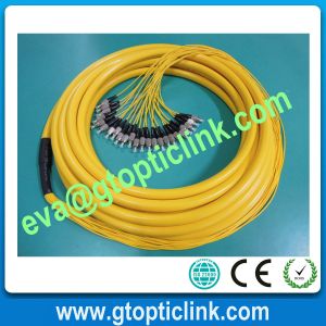 Buy cheap FC 12cores Fiber Optic Pigtail/Bundle Multi-fiber Pigtail product