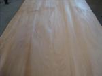 4’ x 8’ Rotary Agathis Veneer Sheet For Furniture, Door