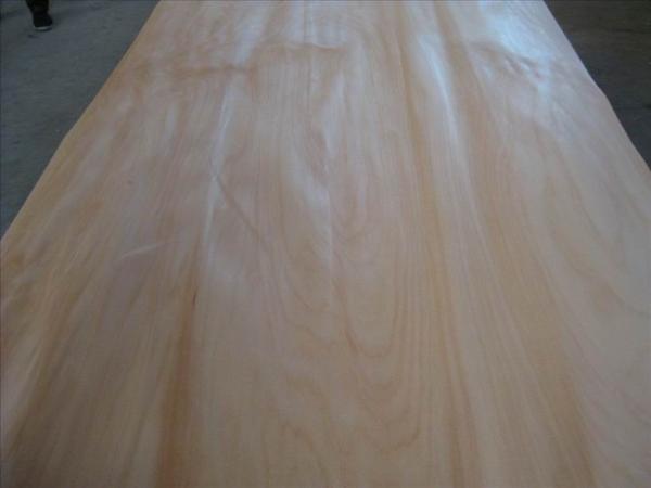 Buy cheap Rotary Peeled Agathis Wood Veneer Sheet For Plywood, MDF from wholesalers