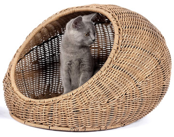braided dog bed