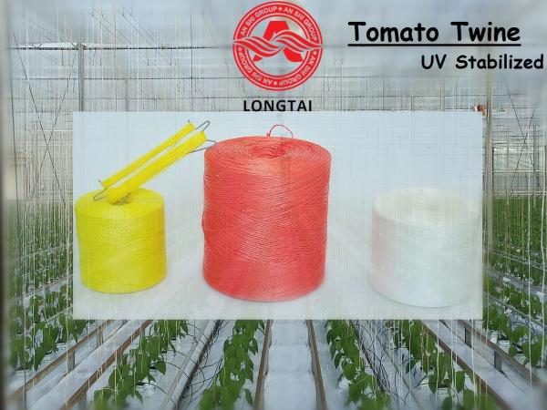 Buy cheap 2.5mm Diameter Banana Twine , Agricultural PP Baler Twine 30 TPM Twisted from wholesalers