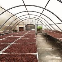 Buy cheap Fast Delivery 8*26 Meters Single Sun Dryer Greenhouse Food Drying Solar Dry product