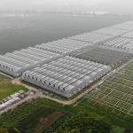 Sunlight Greenhouse 100% Blackout Automatic Light Deprivation Greenhouse in