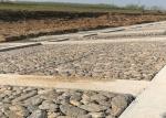 Solid Construction 100x120mm PVC Coated Gabion Box