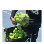 Tennis Ball Picker Table Tennis Ball Golf Ball Collector Walnut Pecans Nut