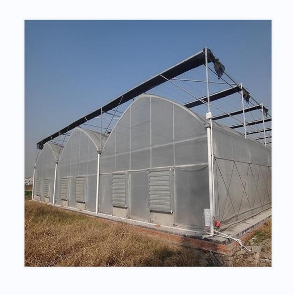 Easy Assembled Tomato Agricultural Kit Frame Greenhouse With Super Strong