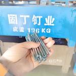 Industry Iron Grooved Shank Concrete Nails 1"-4" 1kg/Box 25kg Per Carton