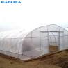 Buy cheap 200 Micron PE Film Galvanized Tunnel Plastic Greenhouse For Growing from wholesalers