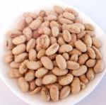 Kosher Halal Certified Coated Roasted Spicy Yellow Edamame Soya Bean Snacks ISO