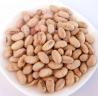 Buy cheap Kosher Halal Certified Coated Roasted Spicy Yellow Edamame Soya Bean Snacks ISO Approved from wholesalers