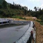1.0mm Fish Pond HDPE Geomembrane Liner Sheet for Onsite Training and After-sale