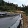 Buy cheap 1.0mm Fish Pond HDPE Geomembrane Liner Sheet for Onsite Training and After-sale Service from wholesalers