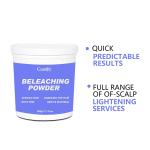 Low Ammonia Organic Bleach Cream For Vibrant Hair Color Change Private Label