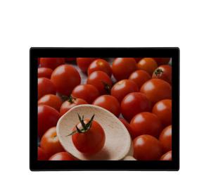 China 19 Industrial Touch Screen Monitor VGA DVI Input Kiosks Waterproof LCD Monitor on sale