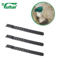 Buy cheap Black Livestock ID Tags Ankle Strap 35x4cm Ligghtweight Cattle Leg Bands Foot product