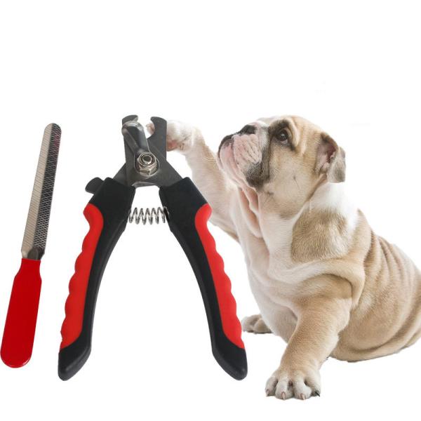 Buy cheap Puppy / Kitten Pet Nail Tools High Performance TPR Material Soft Comfortable from wholesalers
