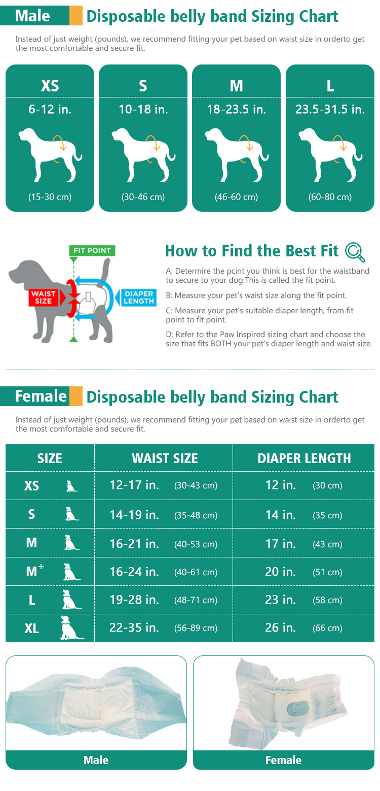 Pet Diaper Disposable Male Wrap No Leakage Soft Dog Diaper with Tissue Lining Advantage