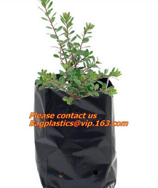 Buy cheap Poly Planter, Grow Bag, garden bags, grow bags, hanging plant bags, planter, Plastic plan garden bags, garden supply pac from wholesalers