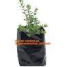 Buy cheap Horticulture, Planter, Grow Bag, garden bags, grow bags, hanging plant bags, planter from wholesalers