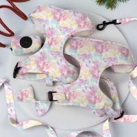 Buy cheap Neoprene Breathable Dog Walking Kit Flora Puppy Leashes Harnesses product