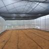 Buy cheap high performance High Tunnel Sawtooth Greenhouse Agricultural ISO9001 from wholesalers
