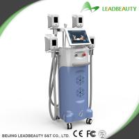 Buy cheap Cryolypolsysis machine freeze fat cryolipolysis slimming fat freezing machine product