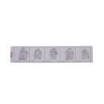 E041 Right hand fingerprint record strip