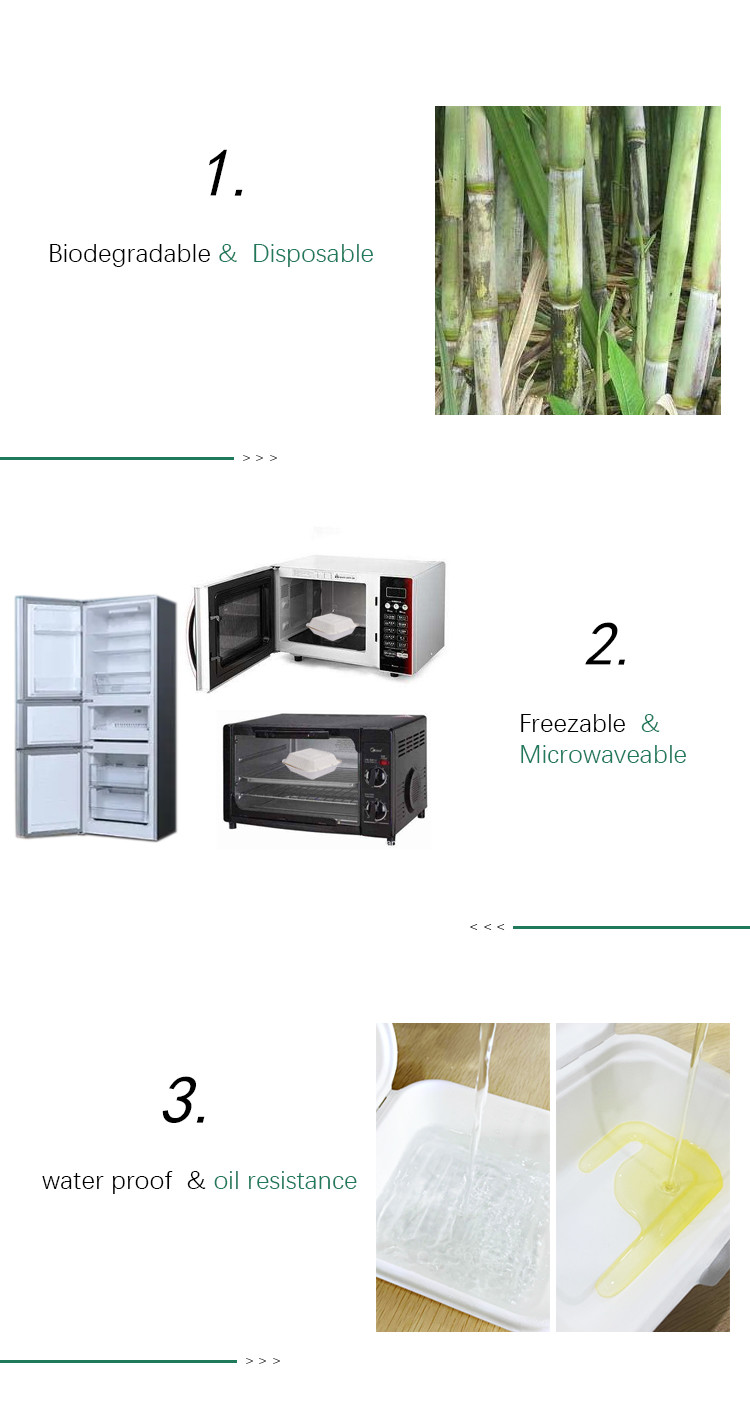 Supermarket Bagasse Food Tray Disposable Food Grade Various Sizes Available