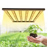 480W 6Bar Samsung LM301B 4x4 LED Grow Light For Indoor Plant