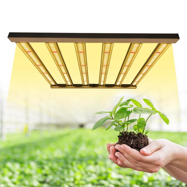 Buy cheap 480W 6Bar Samsung LM301B 4x4 LED Grow Light For Indoor Plant from wholesalers