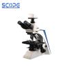 Buy cheap Infinity Optical System Laboratory Biological Microscope 10X - 20mm Eyepiece from wholesalers