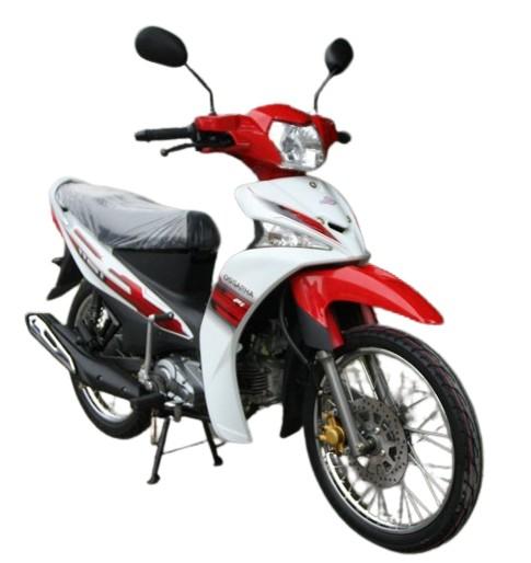 Buy cheap 4.3l 110cc Street Underbone Motorcycle Alloy Pit Bike Moped Double Clutch Colored Plastic Cover from wholesalers