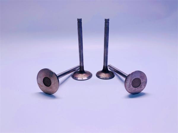 Buy cheap 1-12551126-0 Inlet And Exhaust Valve 1-12552063-0 For ISUZU 6SD1 from wholesalers