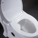 One Piece Elongated Skirted Toilet 1.6 Gpf Siphonic Flushing Toilet White
