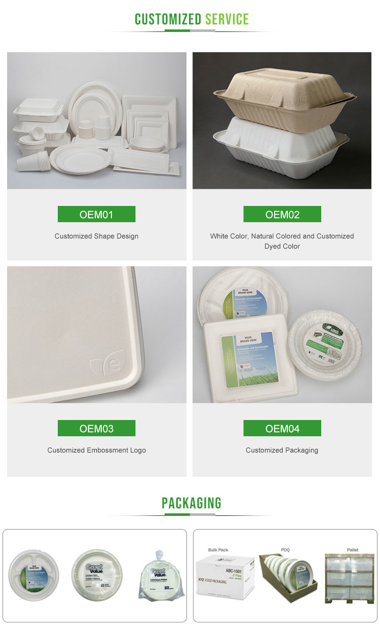 PFAS Free Disposable Eco-friendly Sugarcane Bagasse Large Oval Pulp Plates