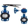 Buy cheap Jis Standard 250mm Gear Type Butterfly Valve Stainless Steel from wholesalers