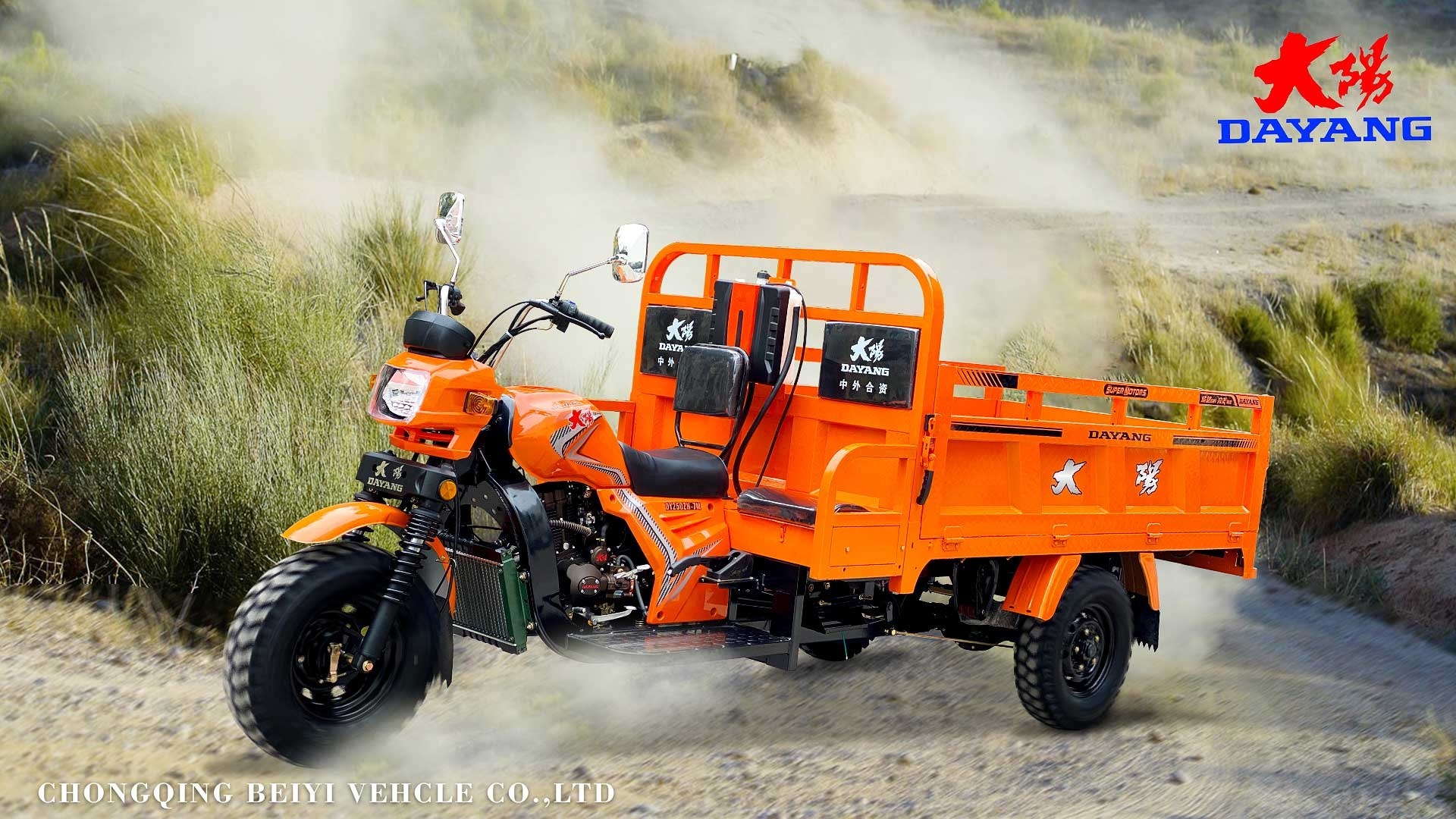 200cc Zongshen Lifan Loncin Engine Gas Tricycle with Front and Rear Drum Brake System