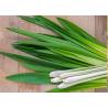 Buy cheap FDA Digestion Deodorization Lemongrass Essential Oil from wholesalers