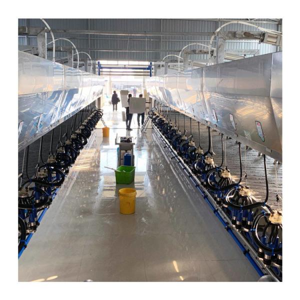 Buy cheap Dairy Farm Electric Herringbone Parlour Milking Systems 100 Cows Per Hour from wholesalers