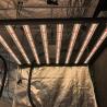 Buy cheap 800W 8Bars Horticulture LED Grow Light Osram 660nm For Indoor Hydroponics Garden from wholesalers