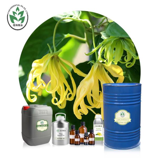 Buy cheap CAS 8006-81-3 Ylang Ylang Essential Oil from wholesalers