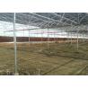 Buy cheap Multi Span Hydroponic Tunnel Plastic Cover Greenhouse from wholesalers