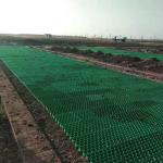 Black Green HDPE Plastic Planting for Parking Lot Grass Reinforcing in HDPE