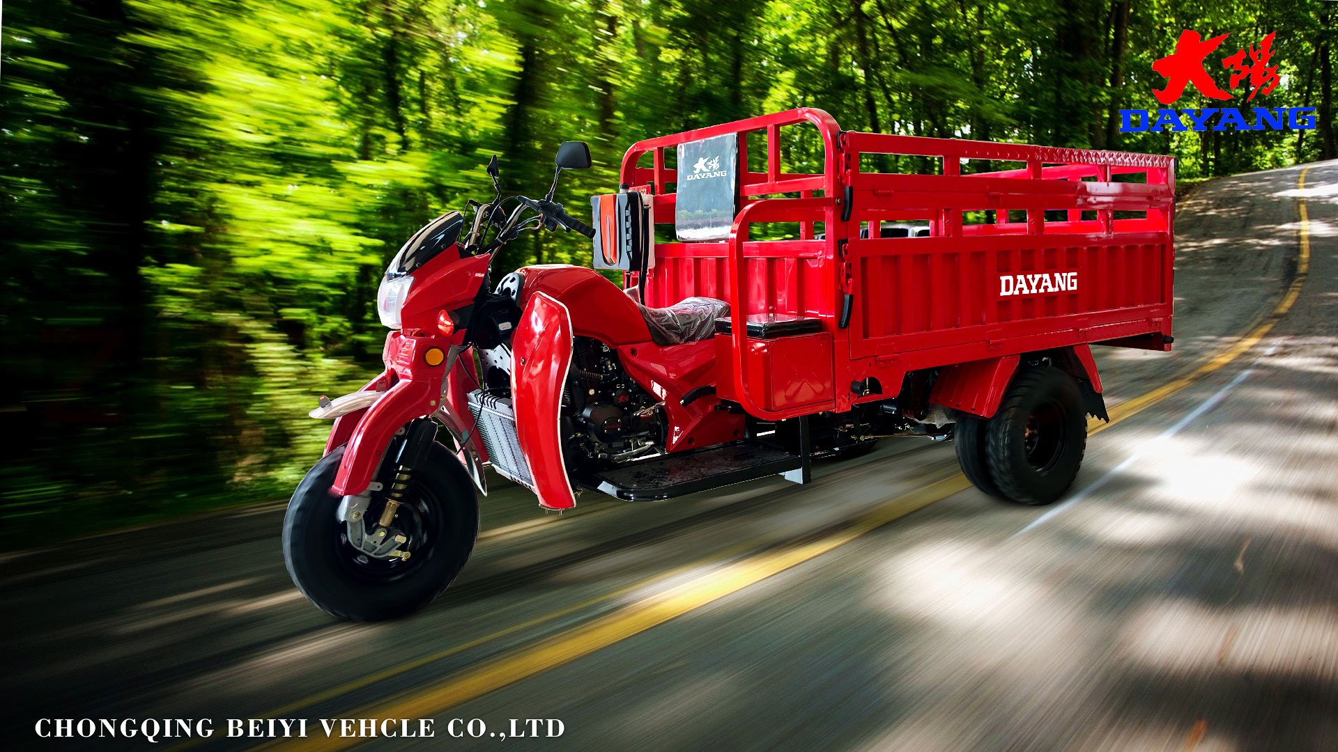 800W DAYANG Heavy Loading Truck Tricycle Three Wheel Cargo Motorized 201 250cc CCC ISO9000 Hydraulic Water Cooled 5.0-12